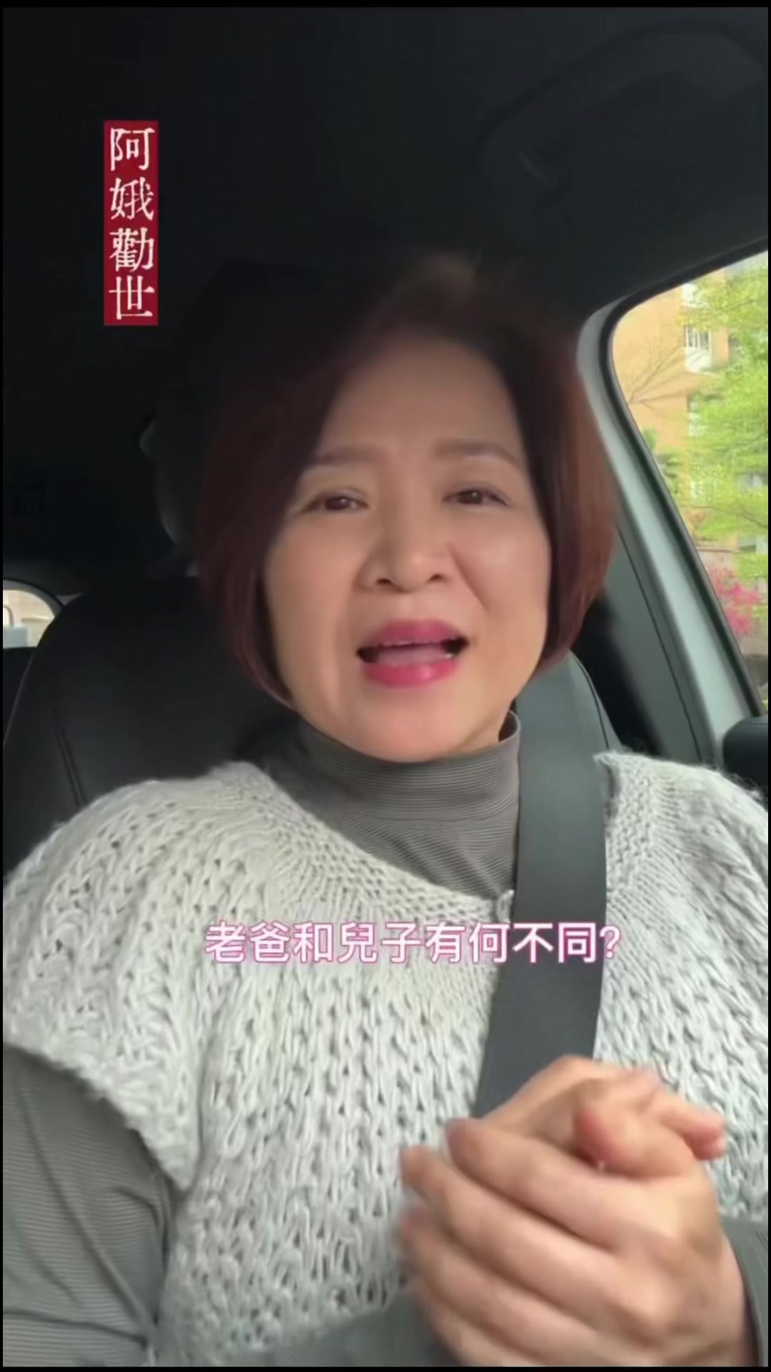 @陳皮