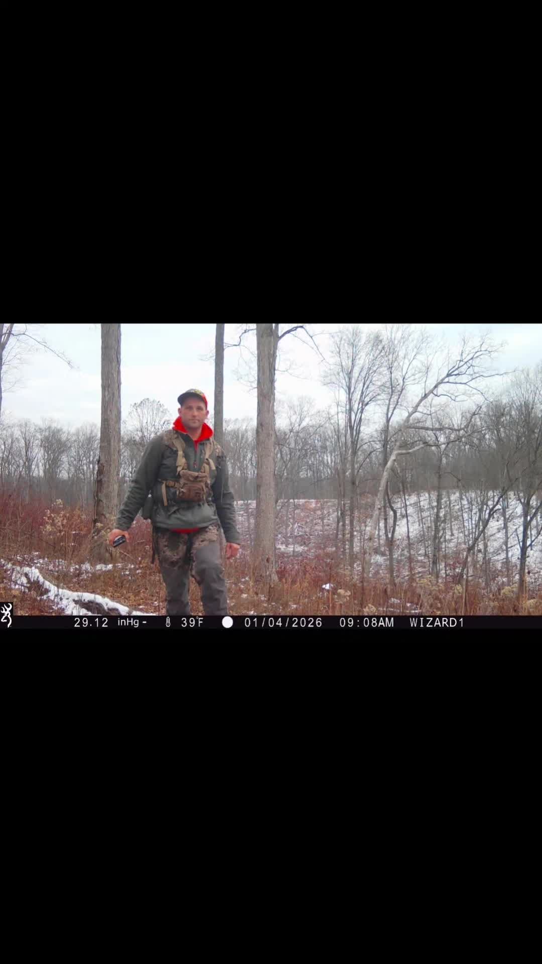 @WIZARD OF THE WOODS