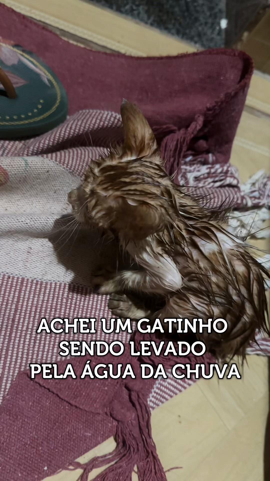 @Hellen