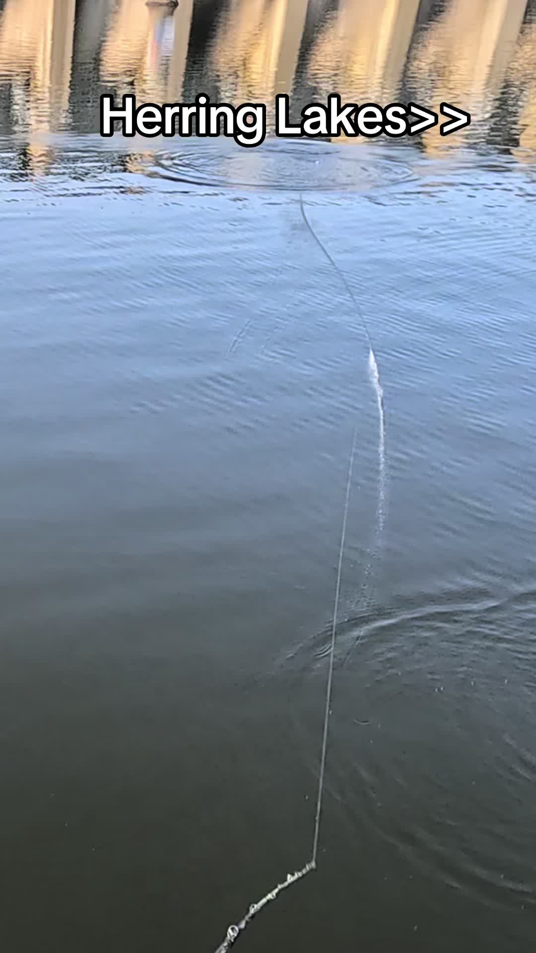 @evan_whitefishing