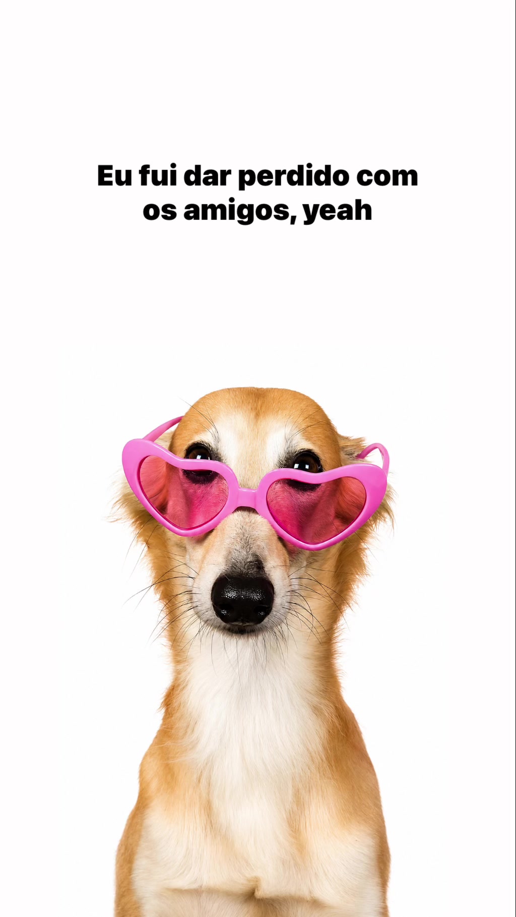 @user1606