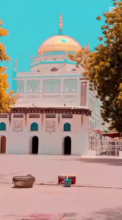 @M Shareef R&ucirc;k