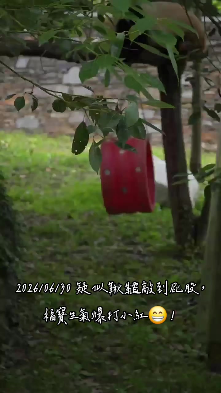 @福寶需要愛的抱抱