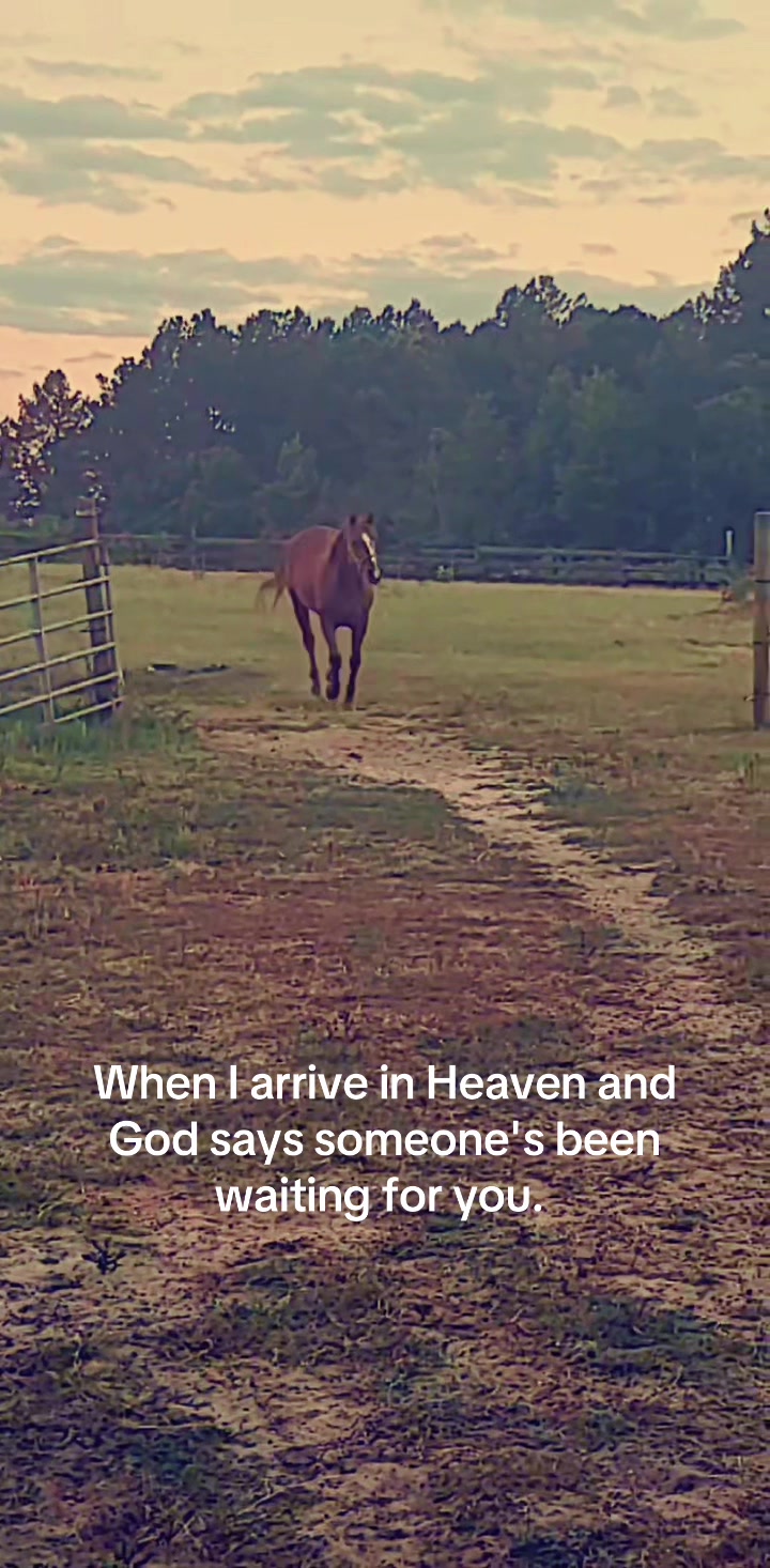 @barrelracingmama