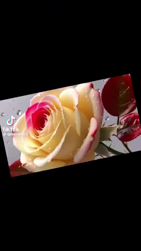 @Atakan ,.gf,๐น๐น๐น๐น๐น๐น