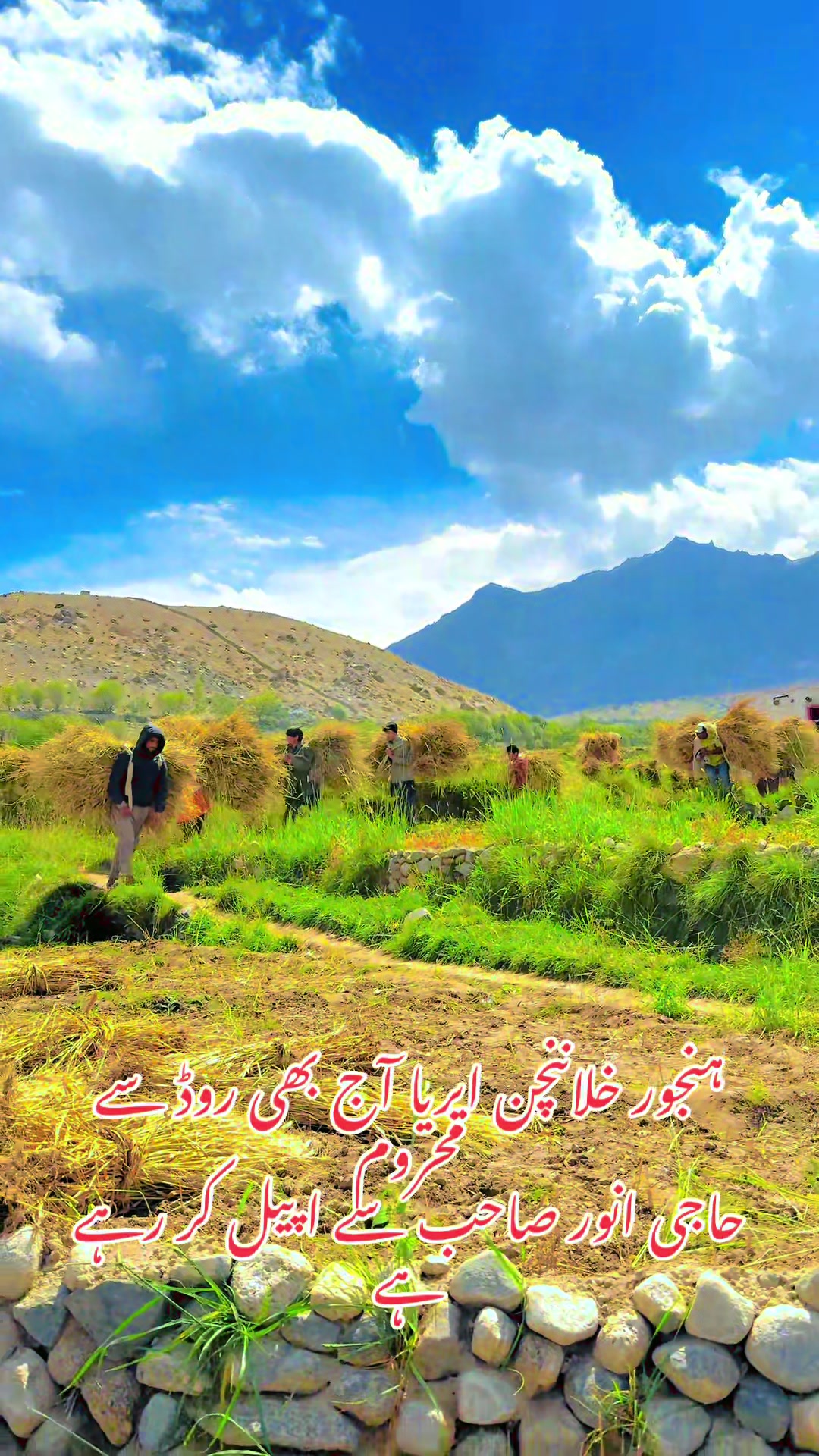 @Liaquat Husain Shaka