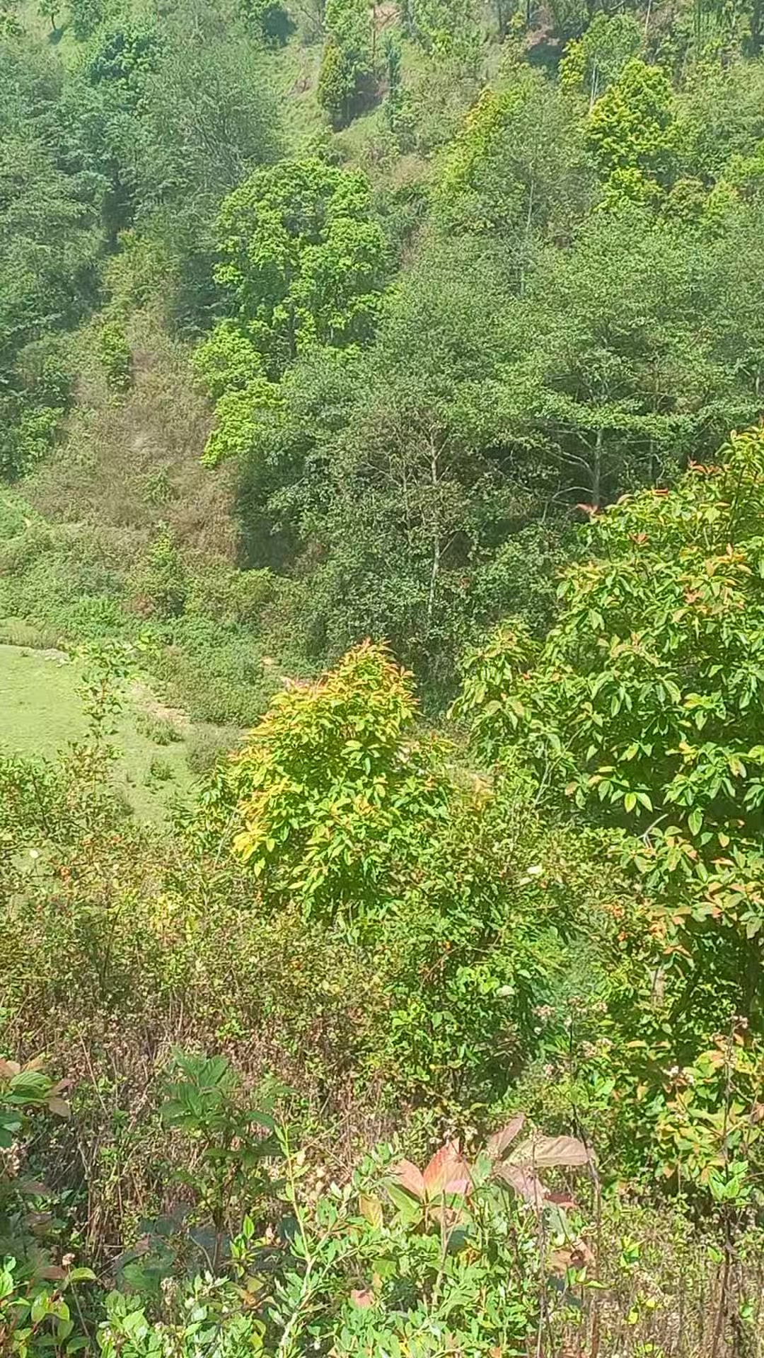 @❣️अर्काओ बुढी लभर