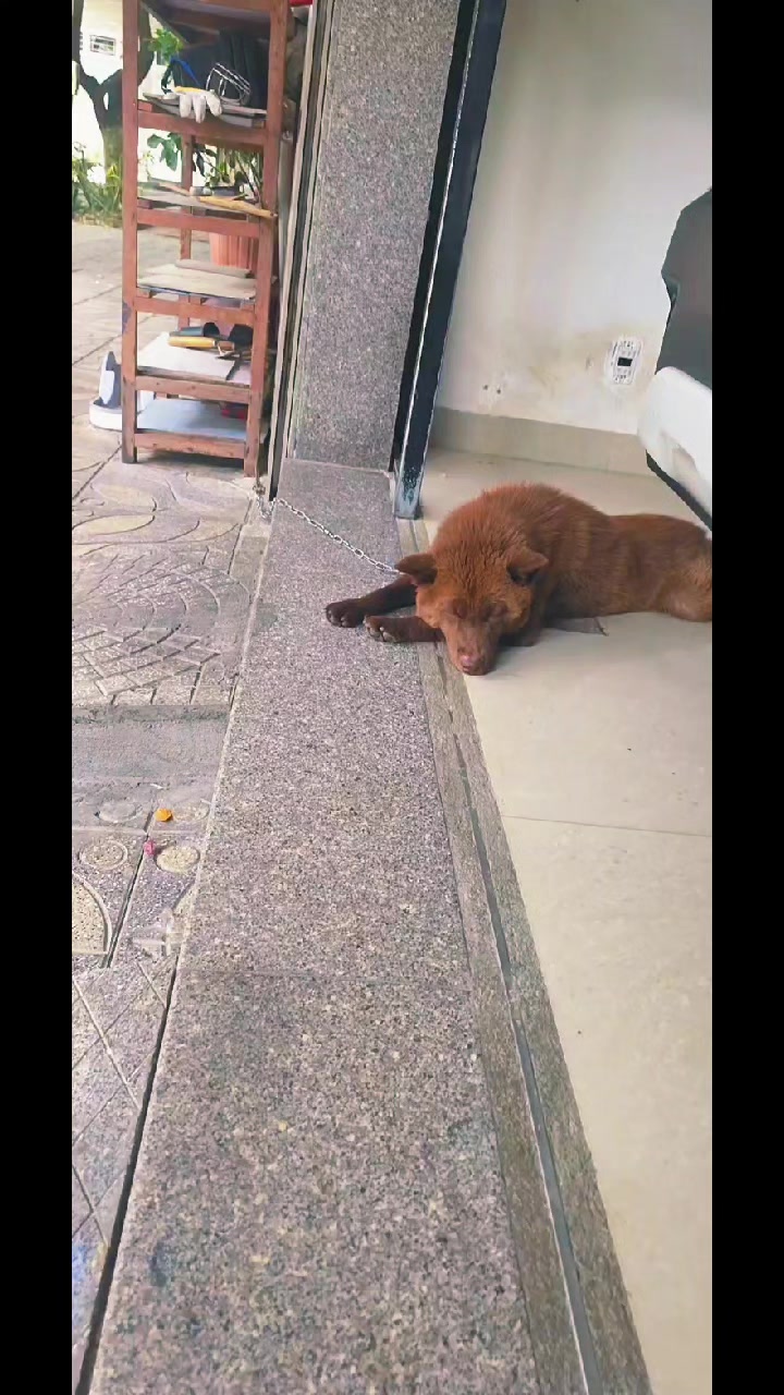 @&ocirc;ng gi&agrave; đầu tư 👴 b&aacute;n s&aacute;ch