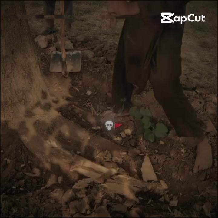 @nikka khokhar