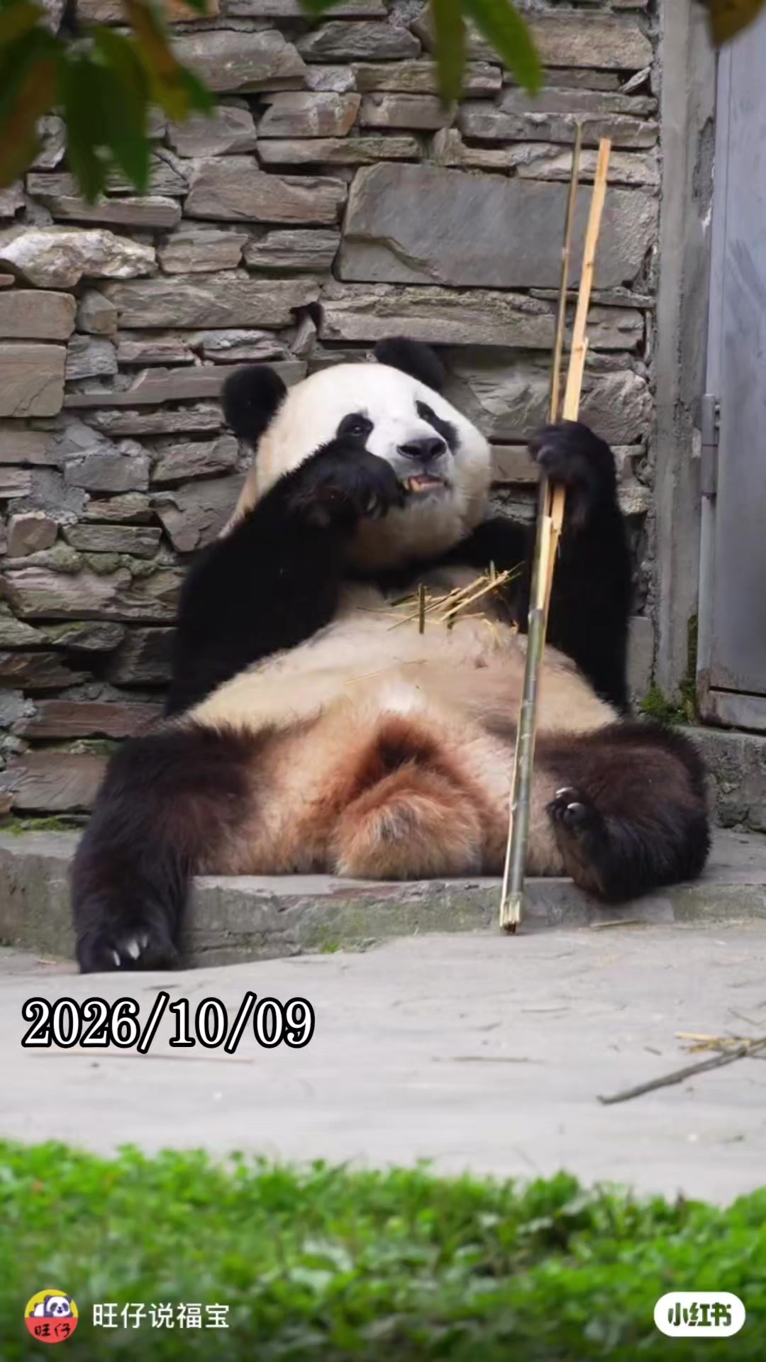 @福寶需要愛的抱抱