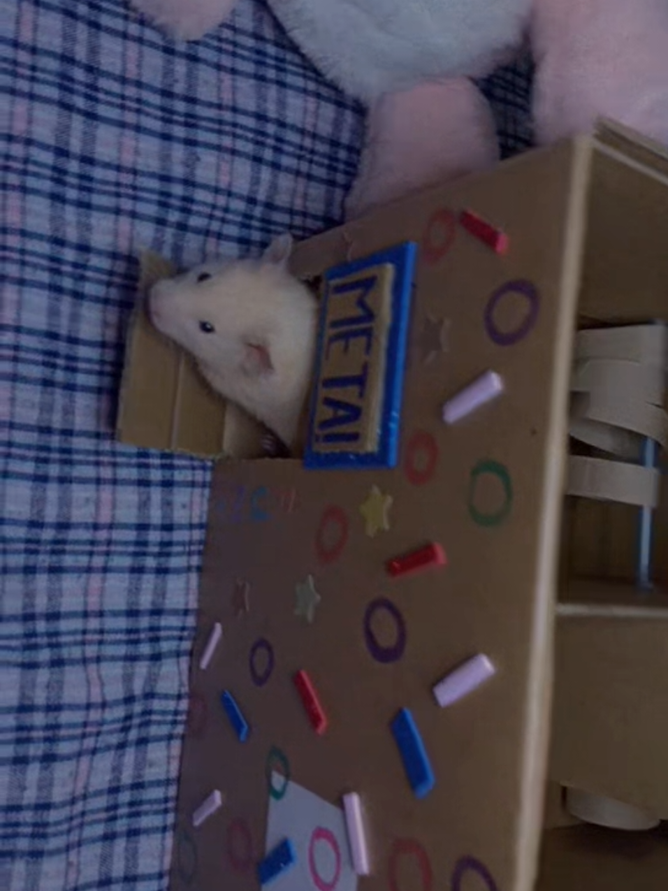 @Diariodeunhamster❤️🐹