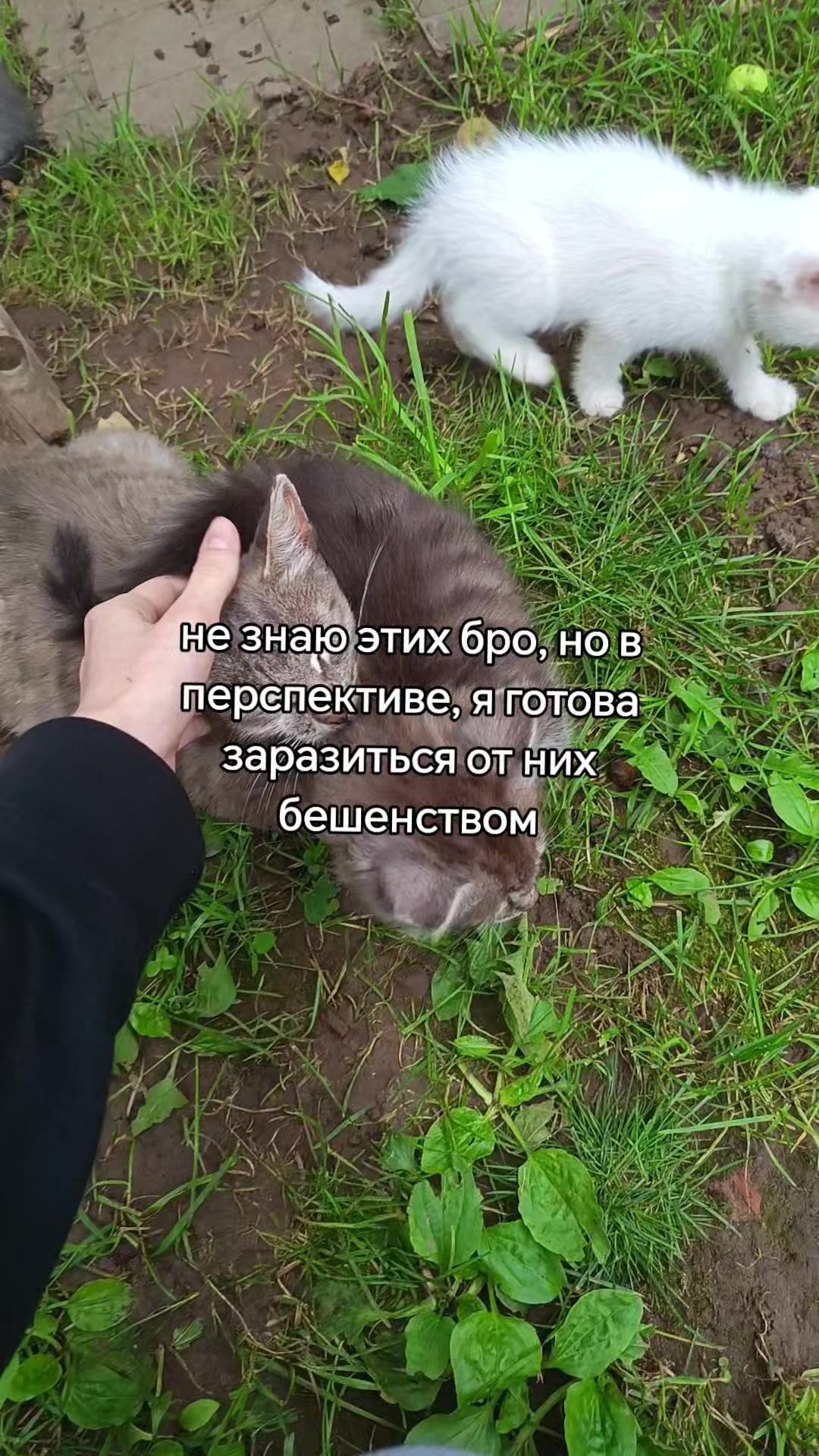 @кисулькина