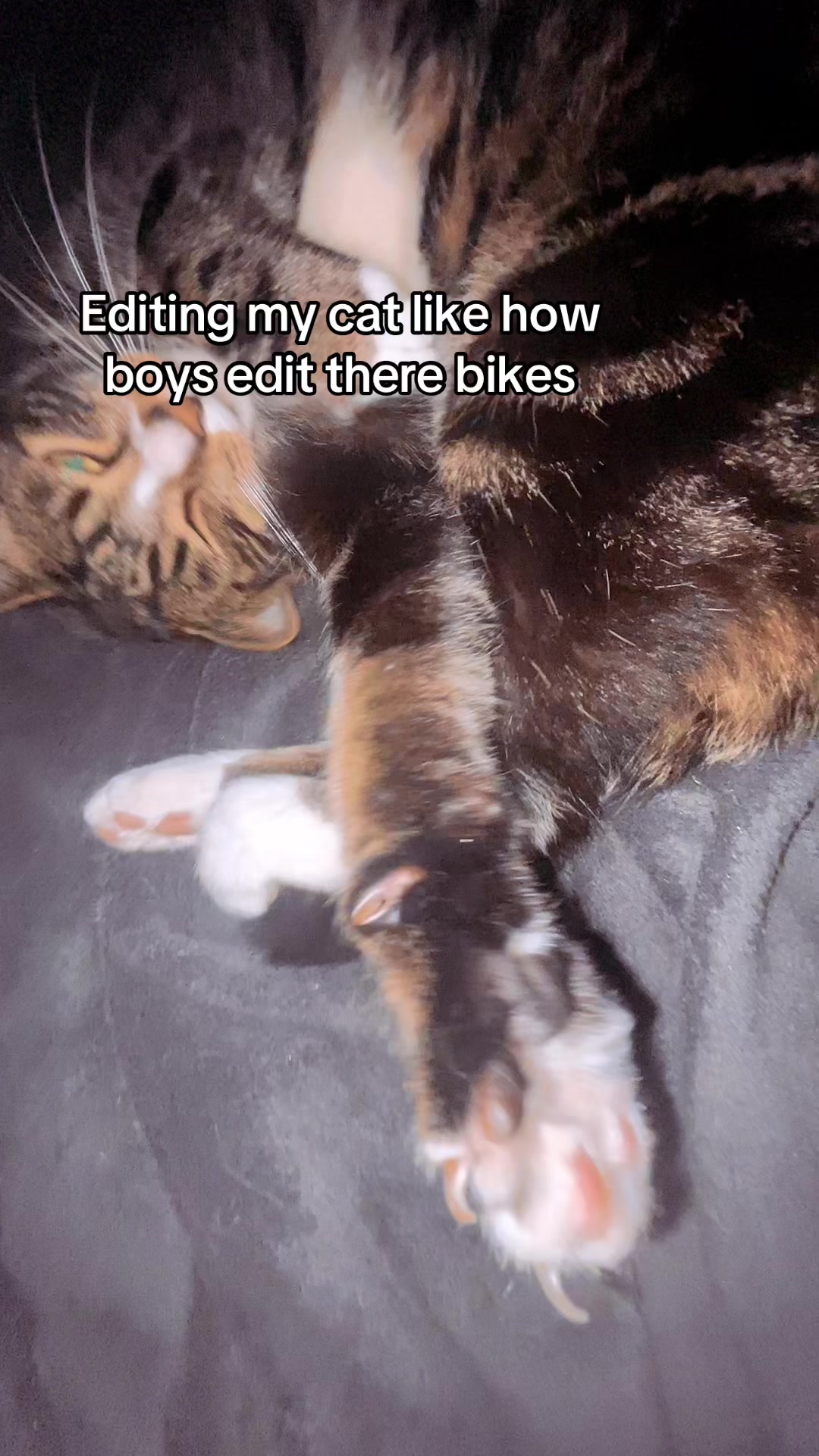 @R&eth;&sect;&iuml;&ecirc;