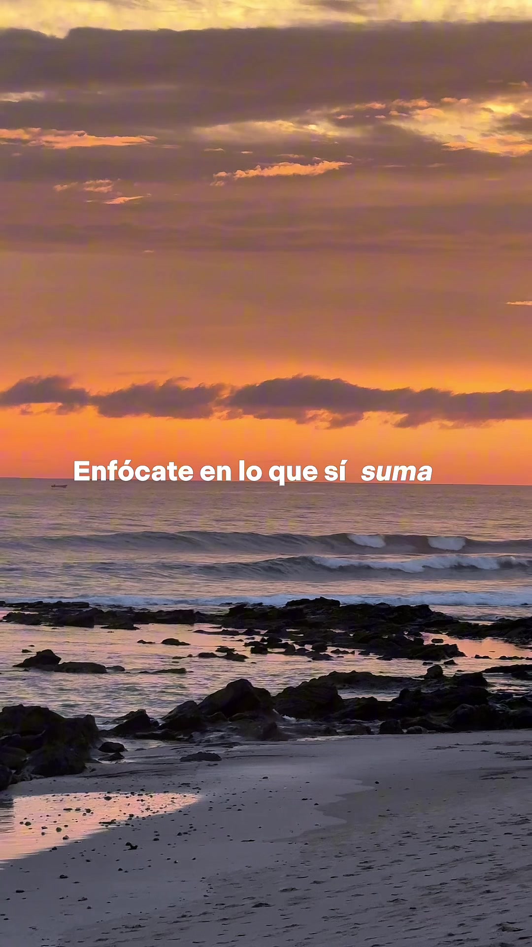 @Paola M