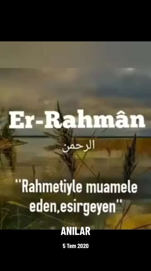 @zeliş