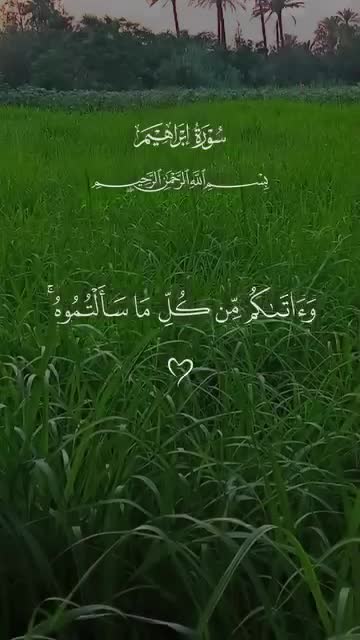 @الداعي إلى الله