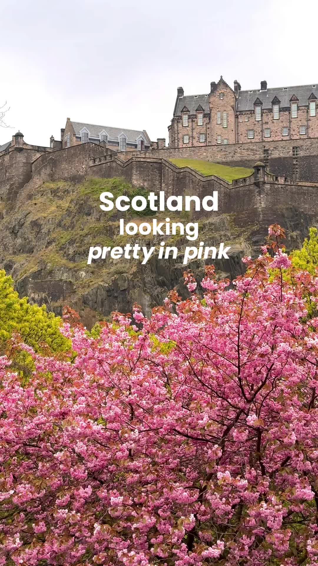 @VisitScotland