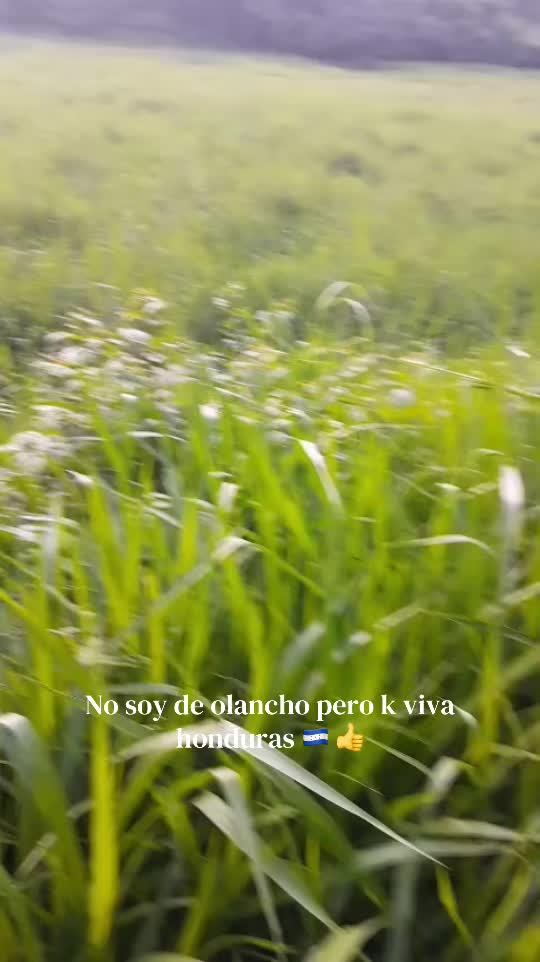 @Samir Buezo