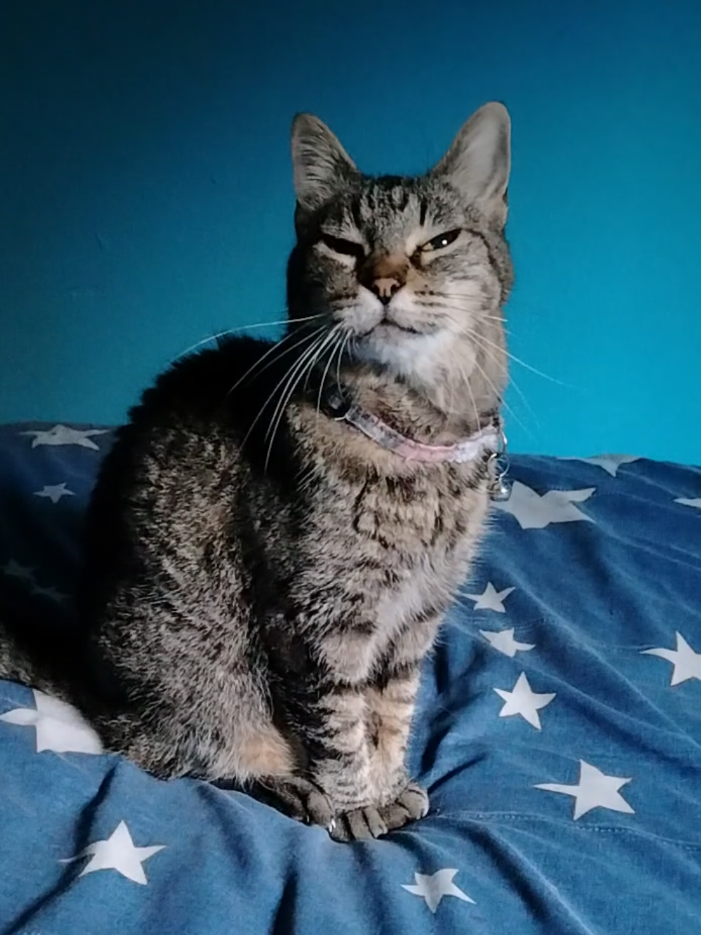 @Studios Tos