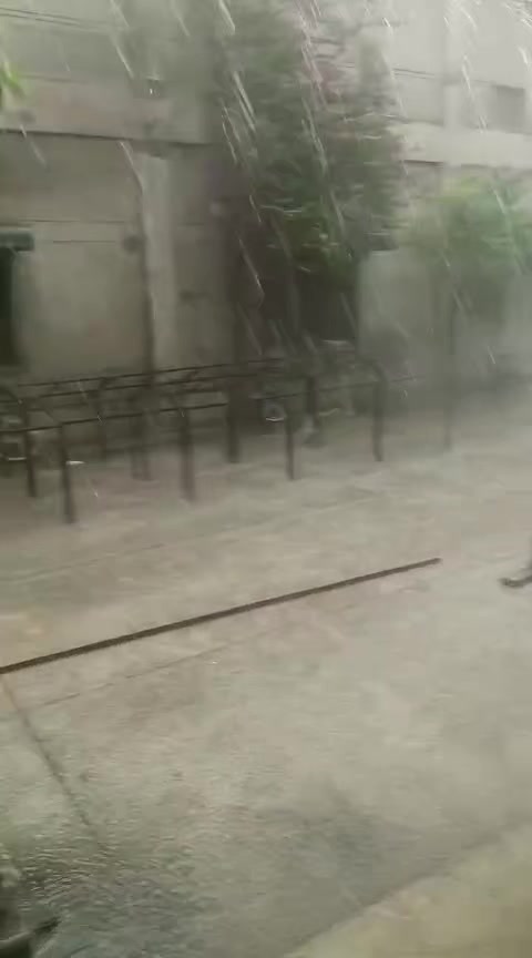 @قاتل مغل 🫶🏼