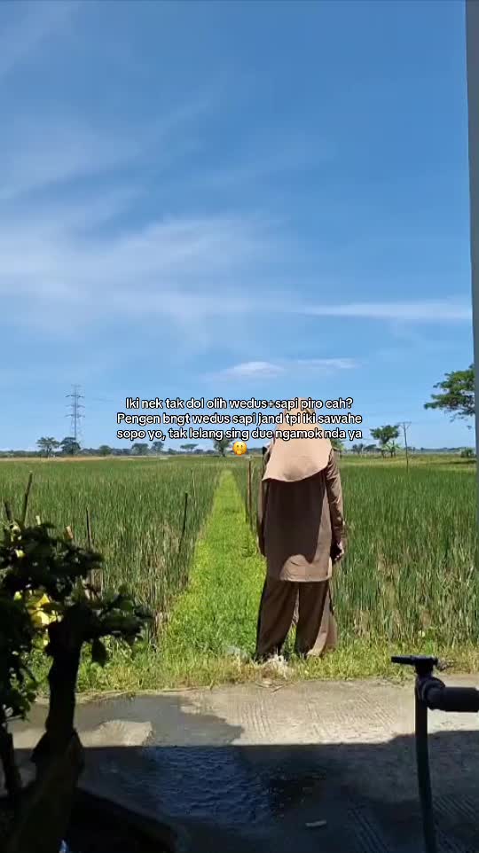 @AbeBeEo