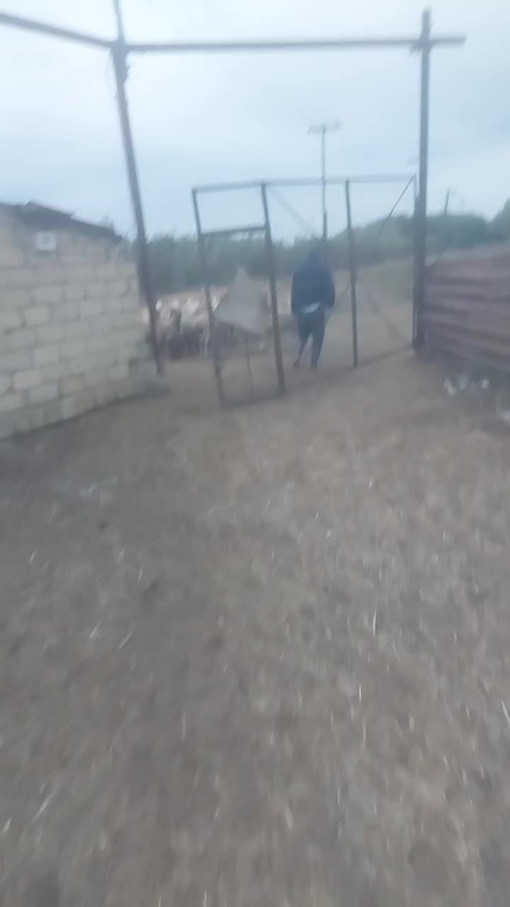 @OLQARX 888