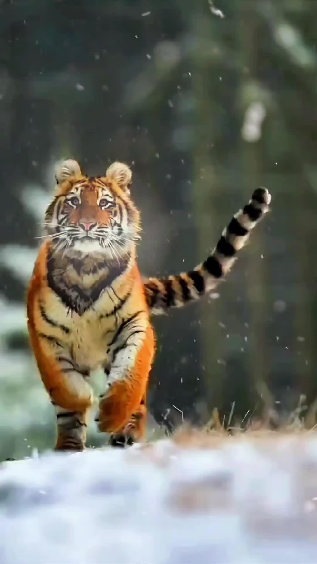 @Beautykin