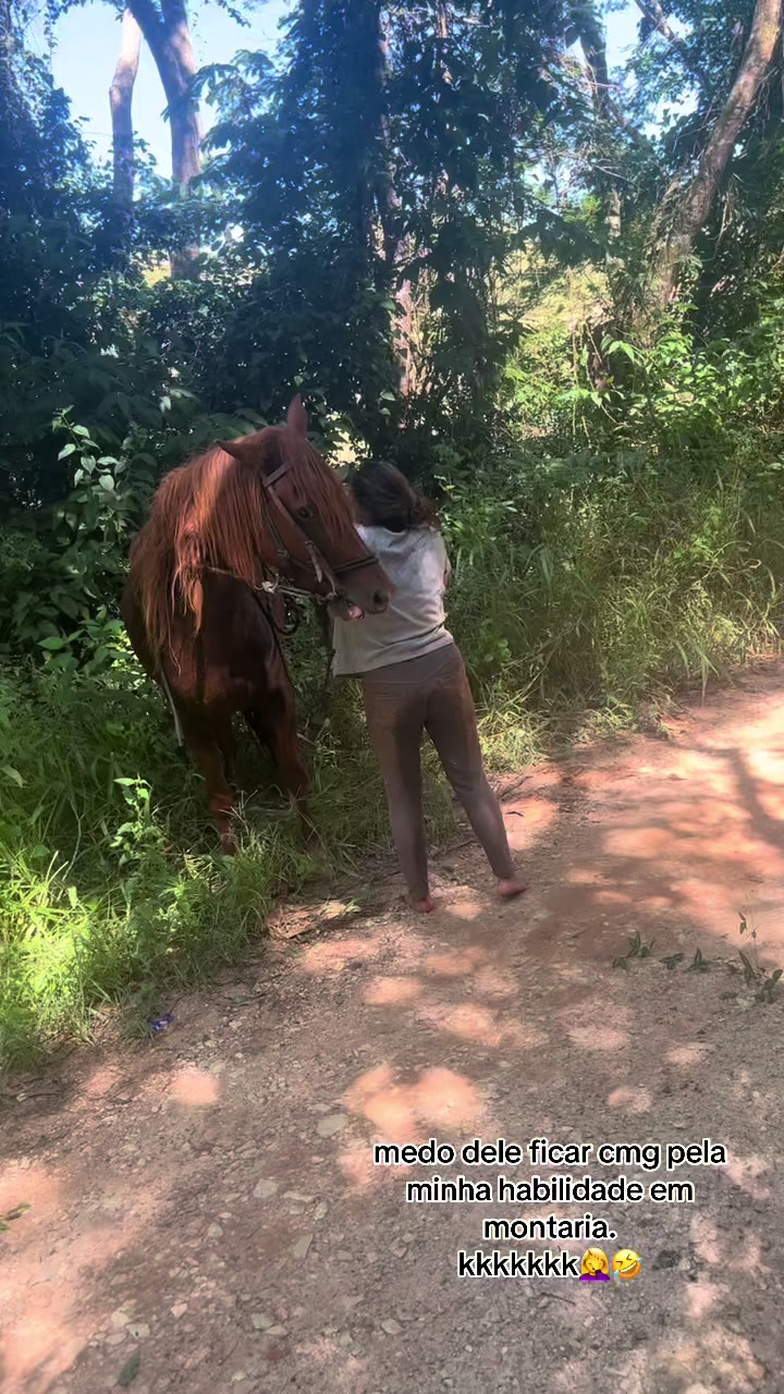 @Vitória