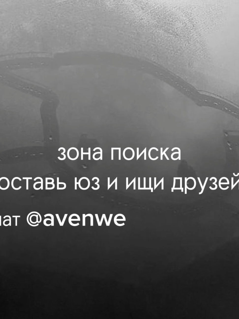 @avenew чат