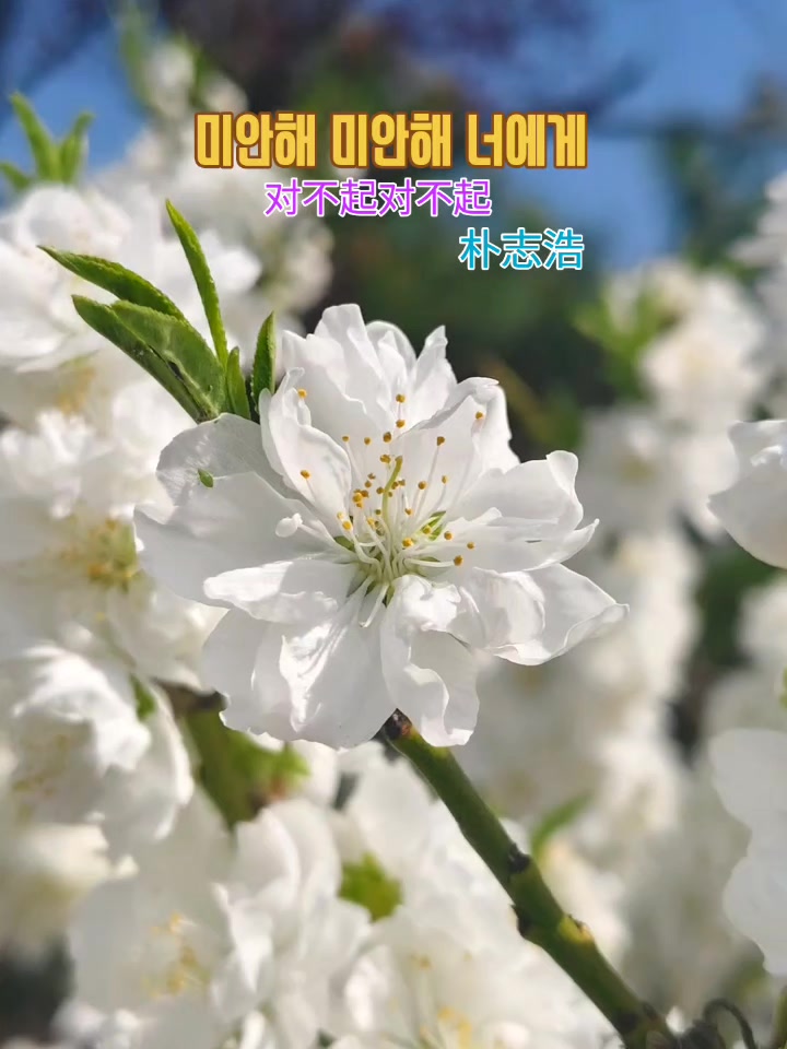 @순순