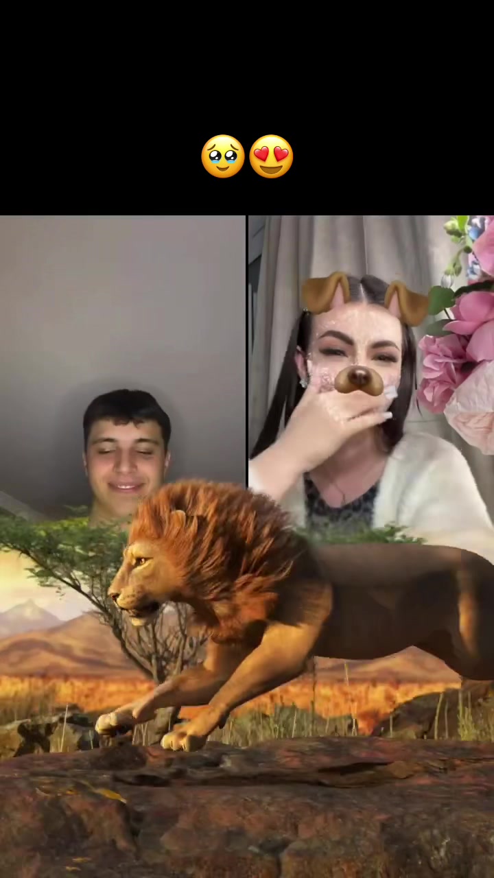 @silviucociu___02