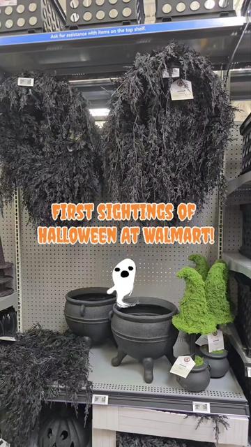 @Graveyardbabe1031