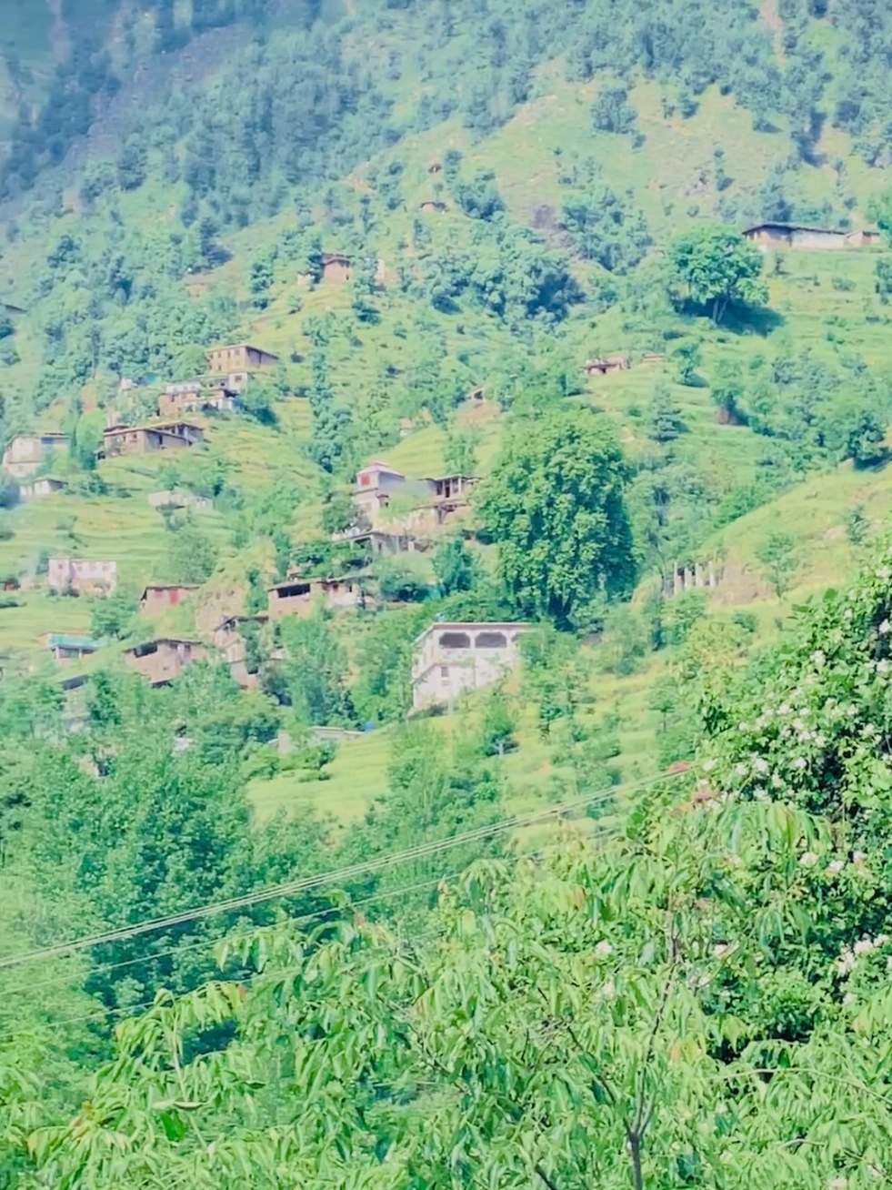 @🌲غر سنے 🌲