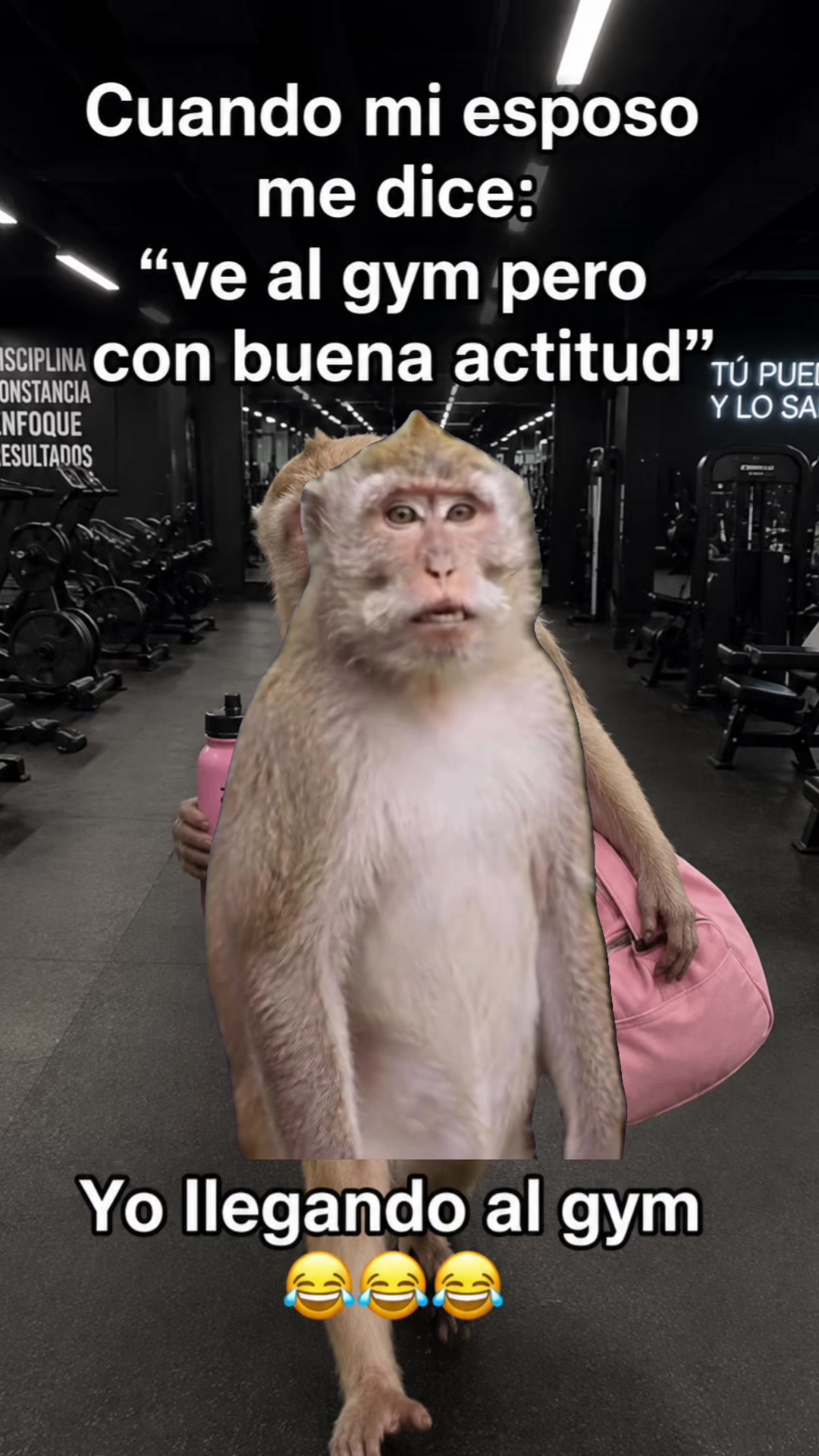 @Mary perez