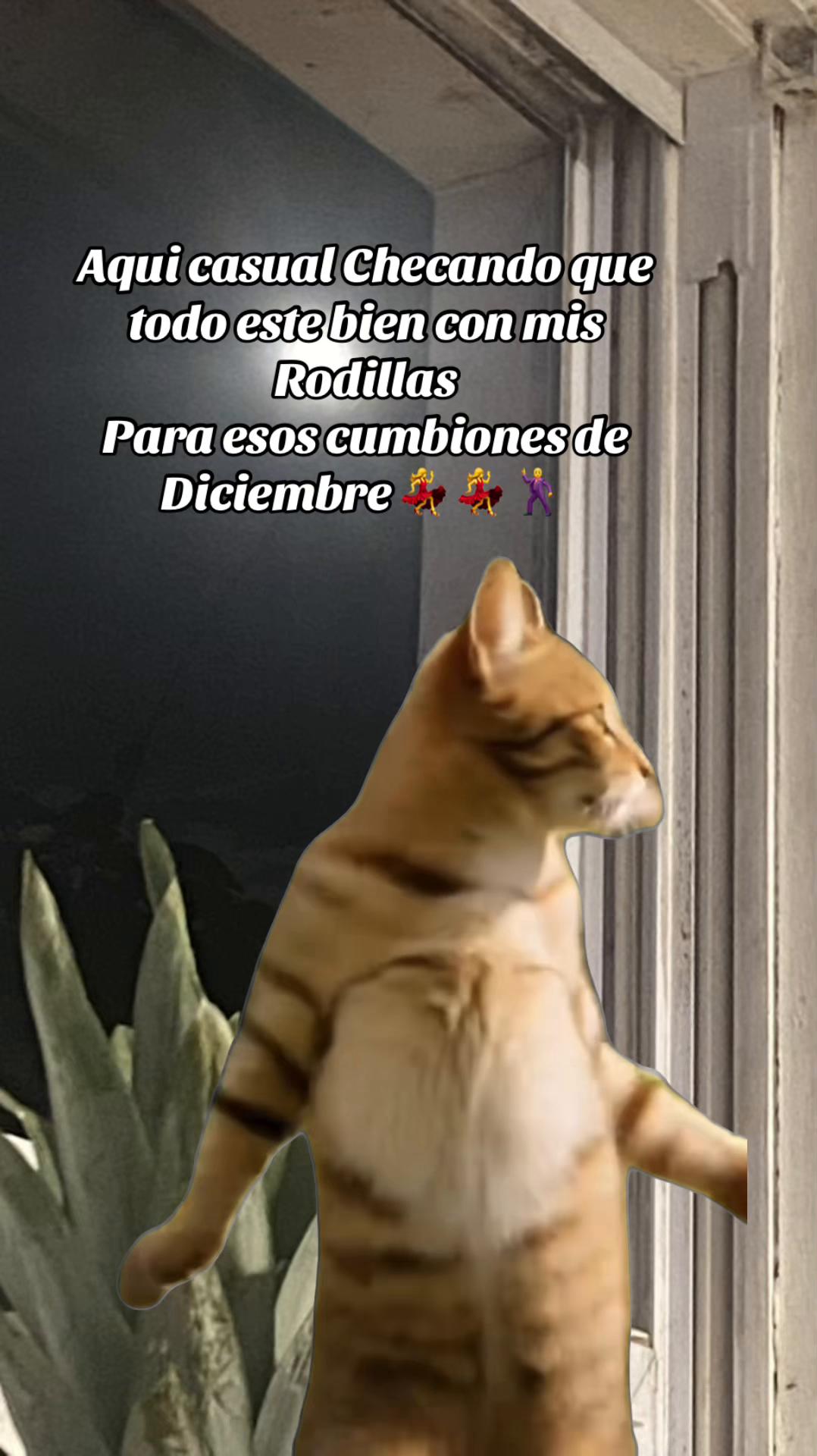 @💛Bonita_Girasol91
