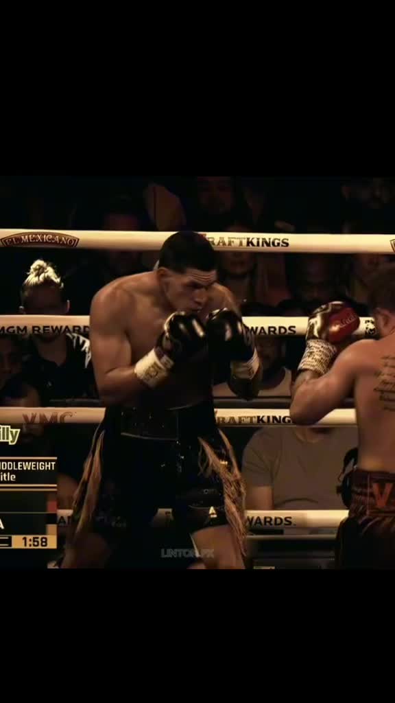 @Boxer fan