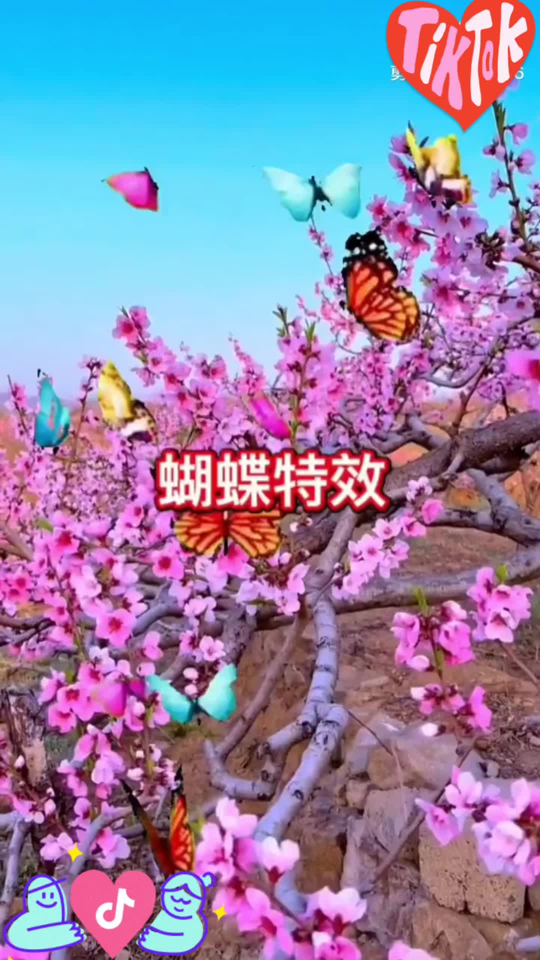 @1️⃣3️⃣0️⃣5️⃣ Hoàng Oanh 8️⃣0️⃣