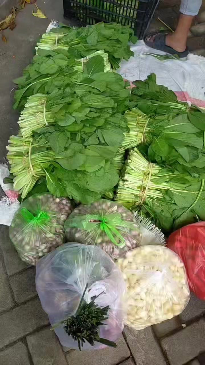 @Hs Sayur