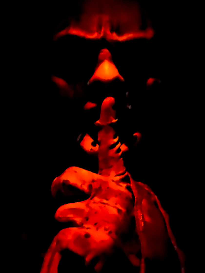 @🩸🗡🤡 SLITZ THE KLOWN🩸🗡🤡