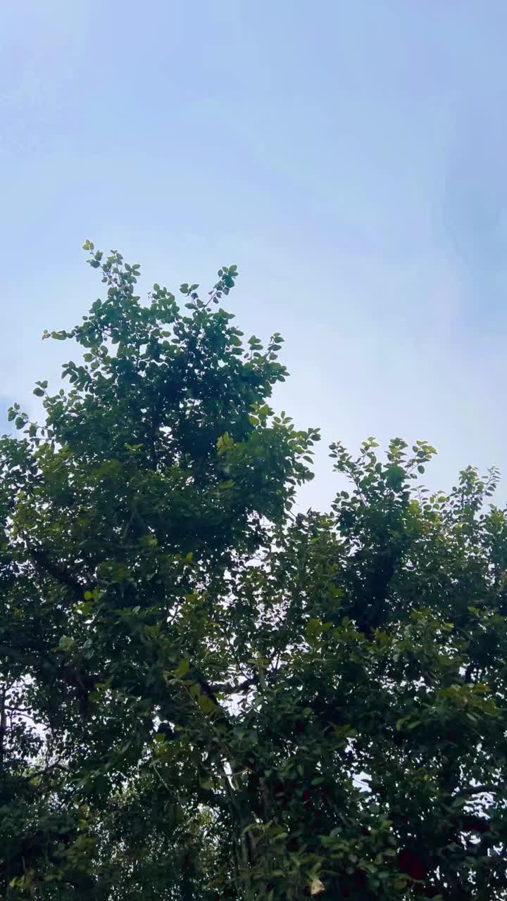 @Sita Sapkota