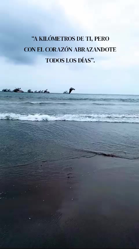 @Nani Torres