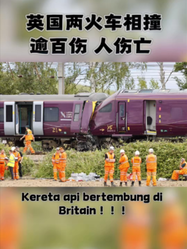 @中国报