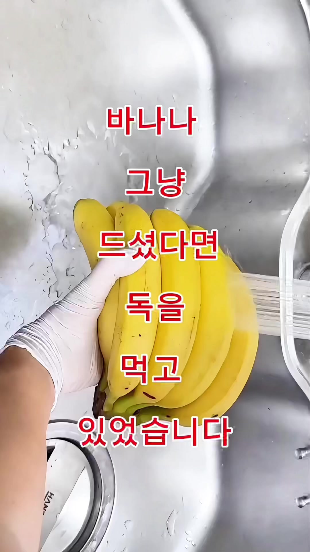 @김 박사입니다