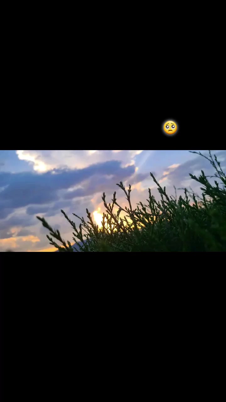 @Lucía Ruiz