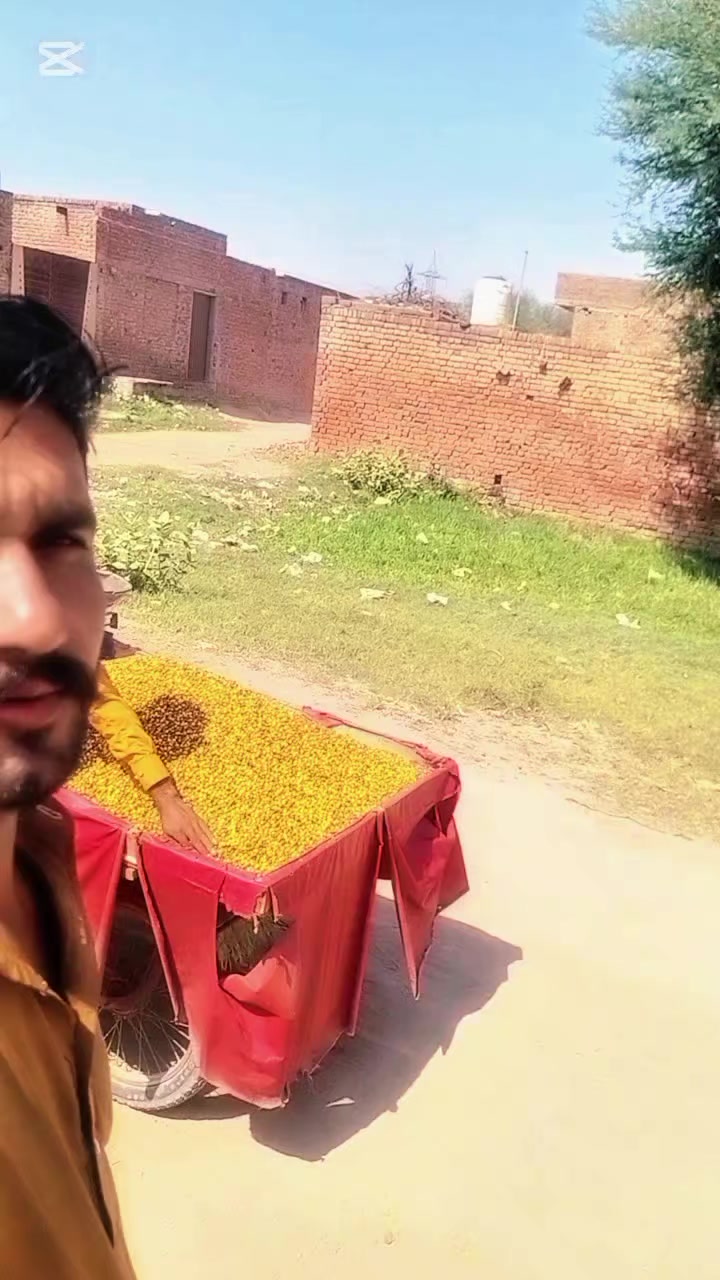 @Muhammad Rashid