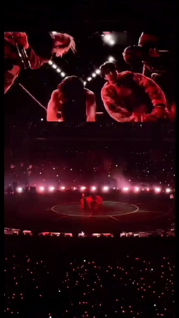 @🐹KIM 피트리 💫🪽
