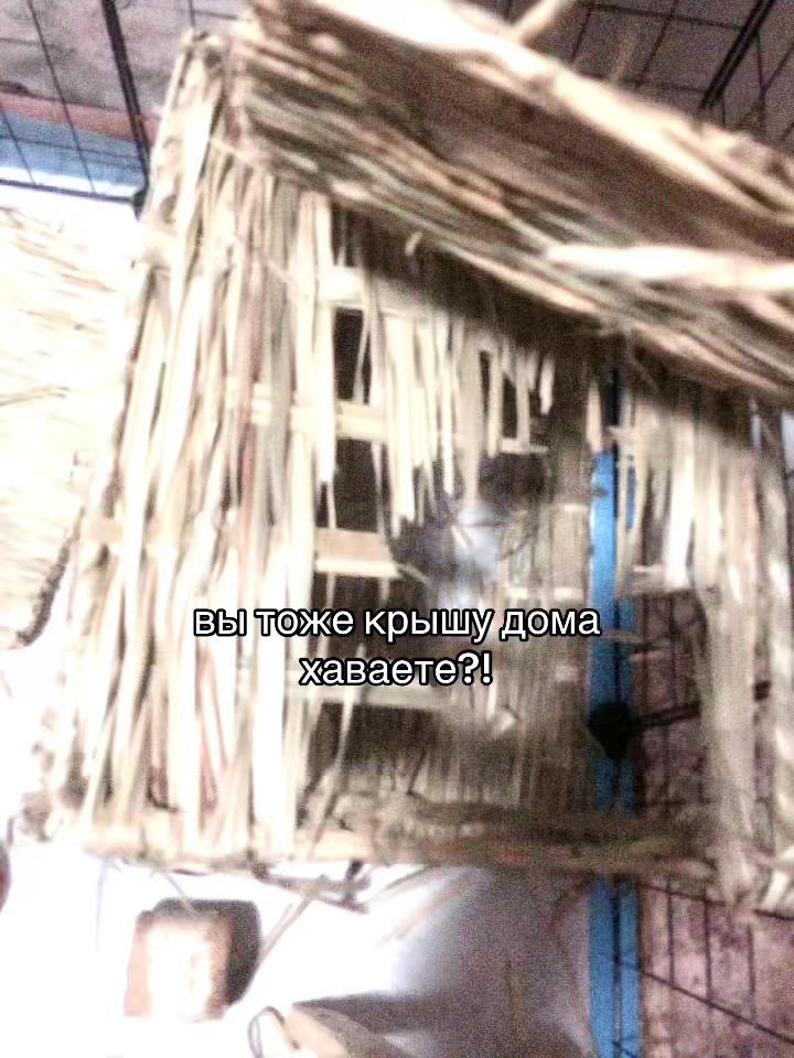 @свинка