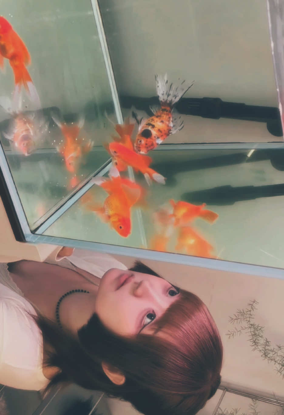 @혜교