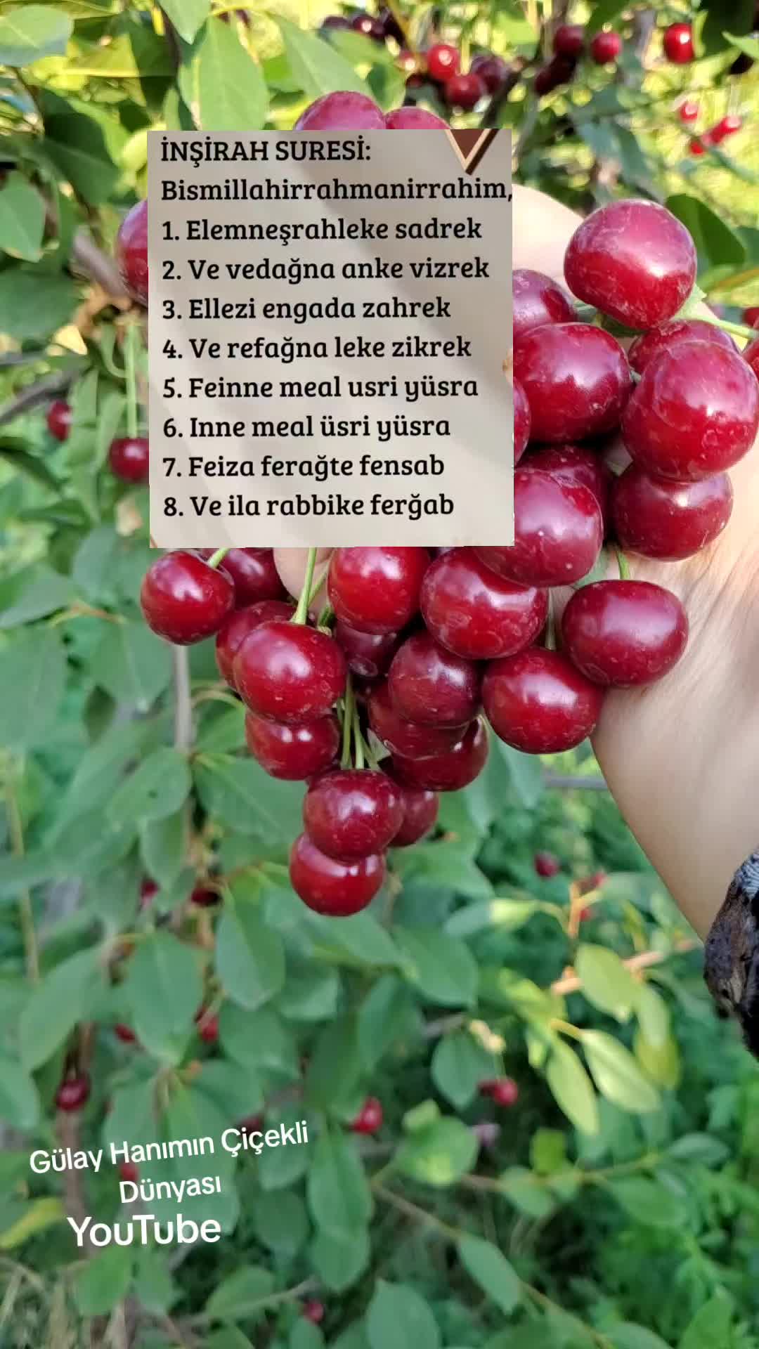 @G&uuml;lay Hanımın &Ccedil;i&ccedil;ekli D&uuml;nyası