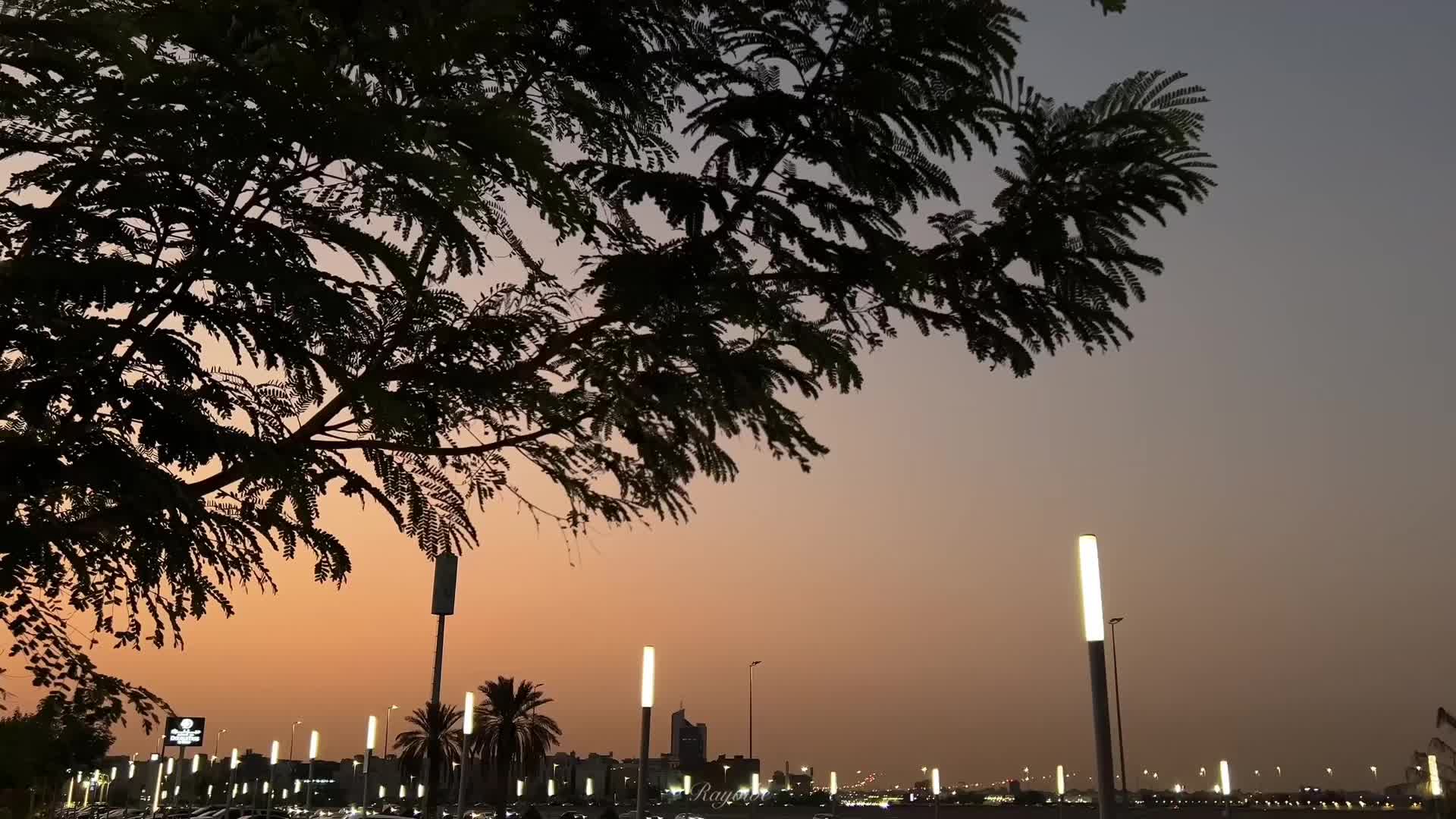 @rayvibe
